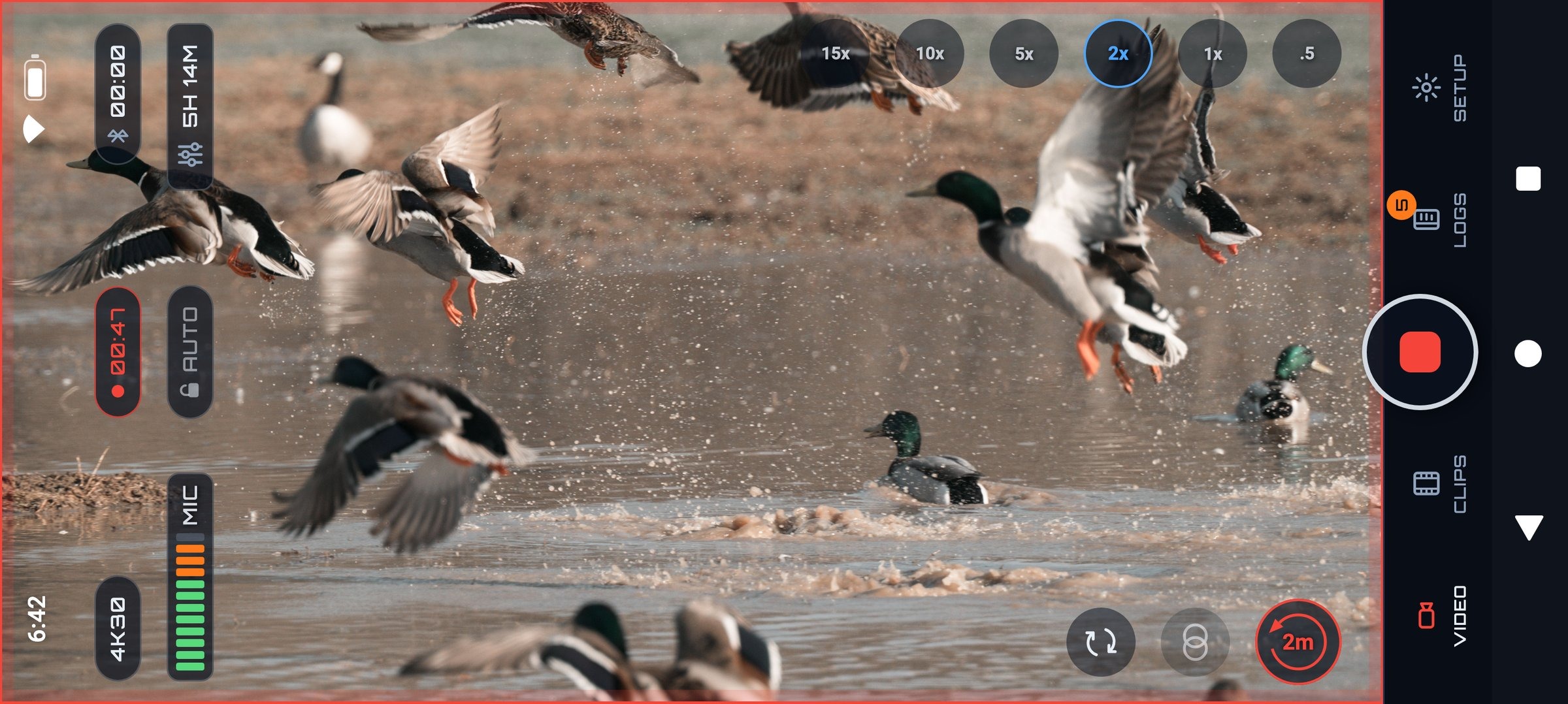 The Hunting screen filming mallards flushing, wide, with the KILLSHOT pre-roll button at two minutes