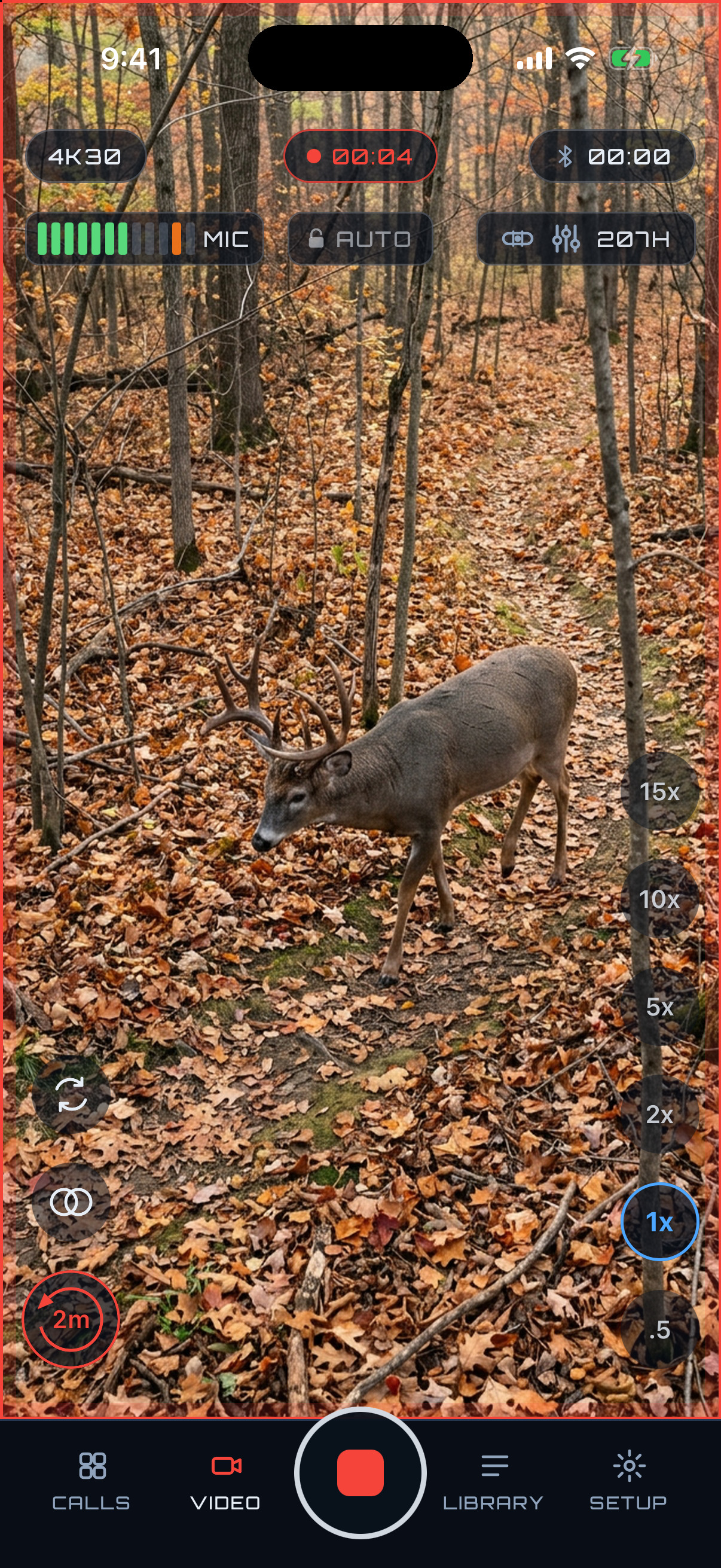 Pro Video filming a whitetail buck from a stand